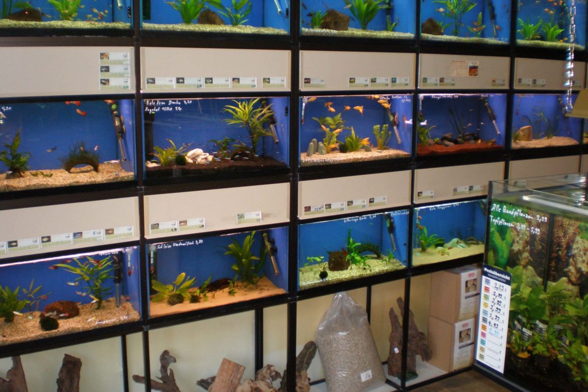 Aquaristik Fachgeschäft